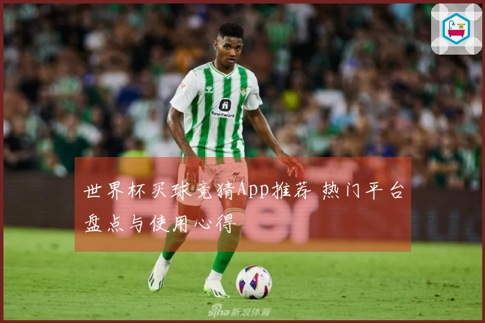 世界杯买球竞猜App推荐 热门平台盘点与使用心得