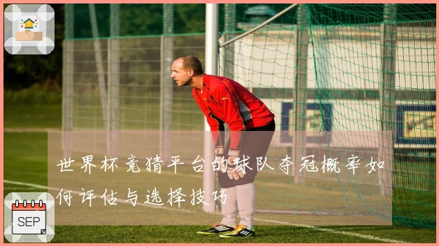 世界杯竞猜平台的球队夺冠概率如何评估与选择技巧