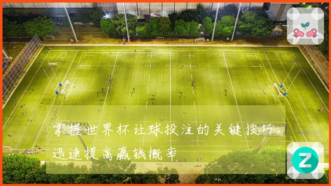 掌握世界杯让球投注的关键技巧，迅速提高赢钱概率