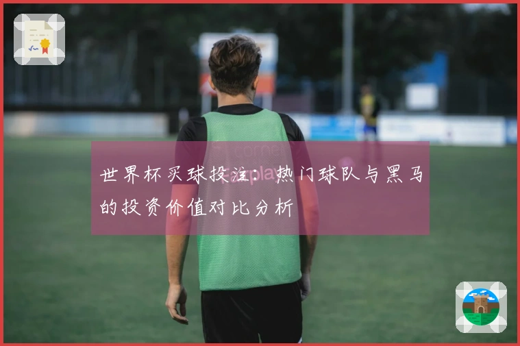 世界杯买球投注：热门球队与黑马的投资价值对比分析