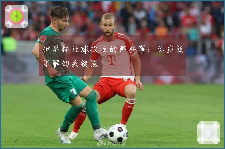 世界杯让球投注的那些事，你应该了解的关键点