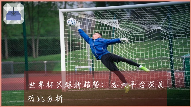 世界杯买球新趋势:各大平台深度对比分析