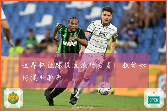 世界杯让球投注技巧分享，教你如何提升胜率