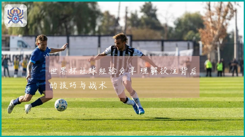 世界杯让球经验分享 理解投注背后的技巧与战术