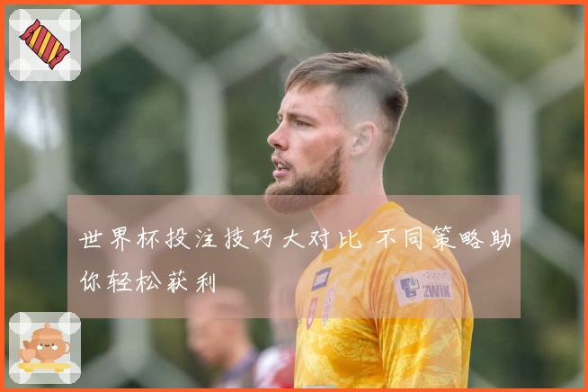 世界杯投注技巧大对比 不同策略助你轻松获利