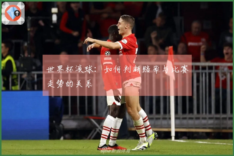 世界杯滚球：如何判断赔率与比赛走势的关系